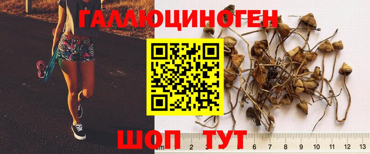 Галлюциногенные грибы ЛСД  Псилоцибиновые грибы мухоморы  Вход с VPN  Солнечногорск 