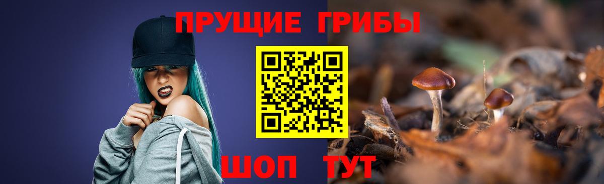 Псилоцибиновые грибы Psilocybe Солнечногорск